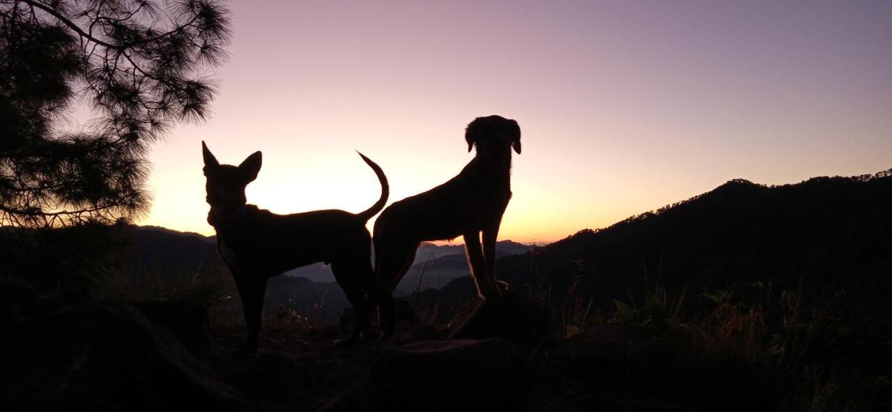 Vista Hostel Jeolikote, Nainital Patwa Dunga 외부 사진